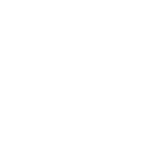 Heizkörperpinsel