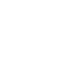 Spezialpinsel