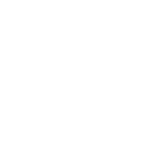 Feinhaarpinsel